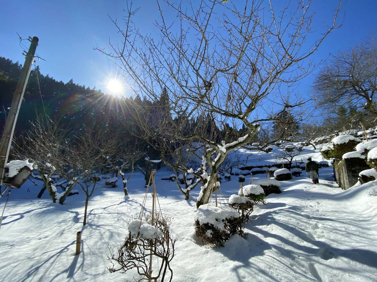 湯田川温泉 理太夫旅館 | 雪景色に青空が美しい