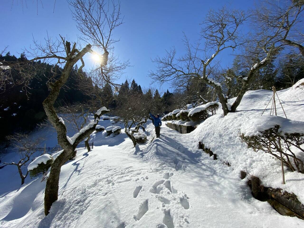 湯田川温泉 理太夫旅館 | 雪景色に青空が美しい